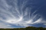 Cirrus Clouds, Bodega, Sonoma County, California