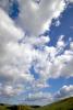 Cumulus Clouds, Puffy, Two-Rock, Sonoma County, California, NWSD03_237