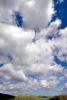 Cumulus Clouds, Puffy, Two-Rock, Sonoma County, California, NWSD03_238