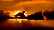 Sunset over Petaluma, clouds, Golden Glow, NWSD05_298