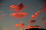 Sunset Clouds, Napa County, NWSD06_030
