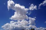Cloud Sky Only, cumulus, NWSD06_144