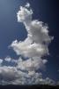 Cloud Sky Only, cumulus, NWSD06_145