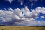 Cloud Sky Only, cumulus, NWSD06_150