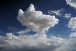 Cloud Sky Only, cumulus, NWSD06_157