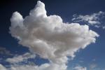 Cloud Sky Only, cumulus, NWSD06_158
