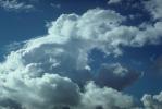 Tiburon, Marin County, California, daytime, daylight, cumulus