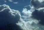 Tiburon, Marin County, California, daytime, daylight, cumulus, NWSV02P04_10.2862
