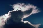 Tiburon, Thunderhead, Cumulo Nimbus, daytime, daylight, cumulus, Cumulus nimbus, Cumulonimbus, NWSV02P05_12