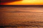 Sunset, Sunclipse, Smoke, Malibu, NWSV03P06_17