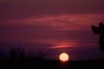 Sunset, Sunclipse, NWSV04P05_11