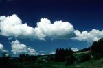 Cumulus Clouds, summertime, summer, daytime, daylight