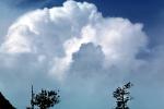 daytime, daylight, Thunderhead, Cumulonimbus Cloud