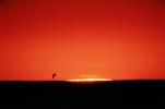 Sun Sliver, Santa Monica Bay, Pacific Ocean, water, Sunset, Sunrise, Sunclipse, Sunsight, NWSV05P07_07