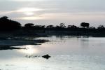 lake, water, clouds, trees, Burkina Faso, Africa, NWSV06P08_01
