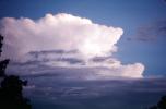Cumulonimbus Clouds, Cumulus nimbus, Cumulonimbus, NWSV06P08_13