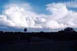 Cumulus Cloud, NWSV06P09_04