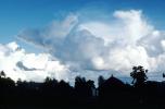 Cumulus Cloud, NWSV06P09_05