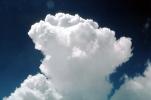 Cumulus Cloud, sprouting, daytime, daylight