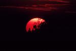 Sunset, Sunrise, Sunclipse, Sunsight, Lake Okeechobee Florida, water, NWSV07P06_04