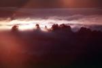 Sunset, Sunrise, Sunclipse, Sunsight, Trees, Fog, Dusk, Dawn, Twilight, NWSV08P15_12