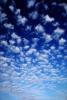 Altocumulus Clouds, daytime, daylight, NWSV09P14_17.0767