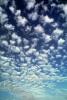 Altocumulus Clouds, daytime, daylight, NWSV09P14_17