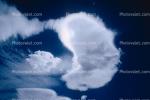 Lenticular Kidney Cloud, Lenticular, daytime, daylight, NWSV12P13_16.0768
