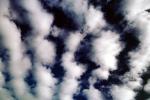 Altocumulus Clouds, daytime, daylight, orderly, in line, in-line, marching, organized, NWSV15P12_03B