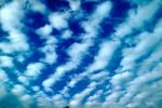 Altocumulus Clouds, daytime, daylight, orderly, in line, in-line, marching, organized, NWSV15P12_05.0624
