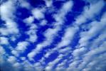 Altocumulus Clouds, daytime, daylight, orderly, in line, in-line, marching, organized, NWSV15P12_05.0767