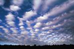 Altocumulus Clouds fractals, daytime, daylight, orderly, in line, in-line, marching, organized