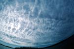 Altocumulus Clouds, NWSV16P14_19