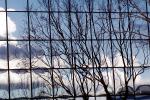 Glass Panes, Reflection, Bare Tree, daytime, daylight, NWSV17P09_14