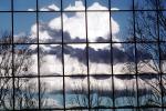 Glass Panes, Reflection, Bare Tree, daytime, daylight, NWSV17P09_15