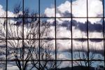 Glass Panes, Reflection, Bare Tree, daytime, daylight, NWSV17P09_16