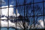 Glass Panes, Reflection, Bare Tree, daytime, daylight, NWSV17P10_05