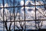Glass Panes, Reflection, Bare Tree, daytime, daylight, NWSV17P10_10