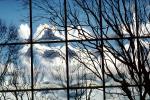 Glass Panes, Reflection, Bare Tree, daytime, daylight, NWSV17P10_11