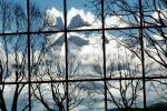 Glass Panes, Reflection, Bare Tree, daytime, daylight, NWSV17P10_13
