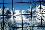 Glass Panes, Reflection, Bare Tree, daytime, daylight, NWSV17P10_15