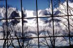 Glass Panes, Reflection, Bare Tree, daytime, daylight, NWSV17P10_16