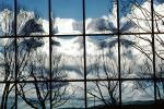 Glass Panes, Reflection, Bare Tree, daytime, daylight, NWSV17P10_17