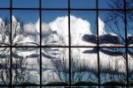 Glass Panes, Reflection, Bare Tree, daytime, daylight, NWSV17P13_04