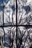 Glass Panes, Reflection, Bare Tree, daytime, daylight, NWSV17P13_13
