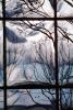 Glass Panes, Reflection, Bare Tree, daytime, daylight, NWSV17P13_16