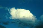 Cumulus Cloud, daytime, daylight