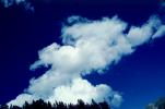 Cumulus Cloud Puffs, daytime, daylight, NWSV18P09_16