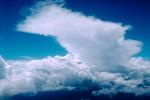 Anvil, Thunderhead, Cumulonimbus, daytime, daylight, Cumulus Cloud Puffs, NWSV18P12_18.0381