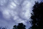 Mamatus Clouds, daytime, daylight, NWSV19P03_18